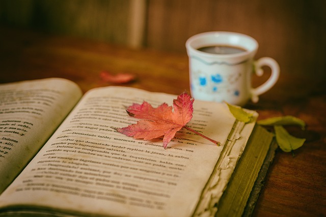 a-leaf-on-a-book