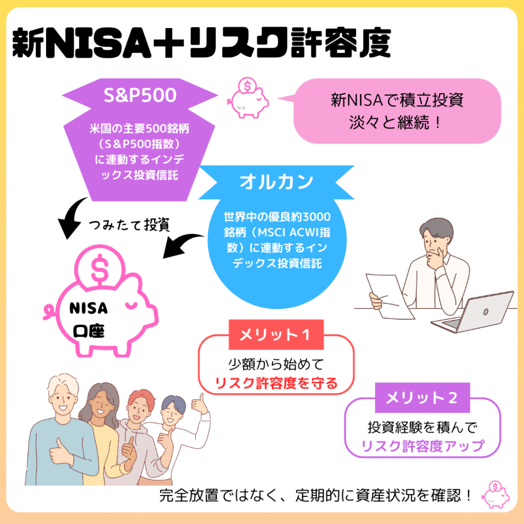 new-nisa-risk-capacity